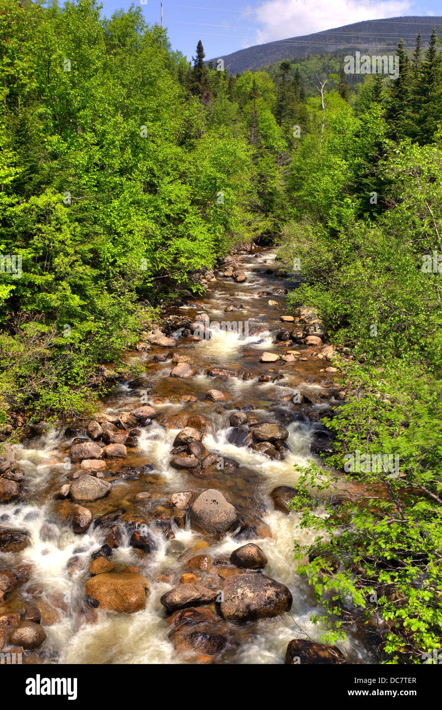Brook, Parco Nazionale Gros Morne, nonché patrimonio dell'UNESCO, Terranova Foto Stock