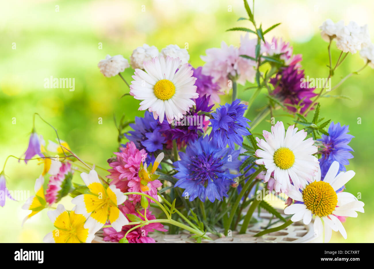 Luminosa estate colorati bouquet di fiori sotto il sole Foto Stock