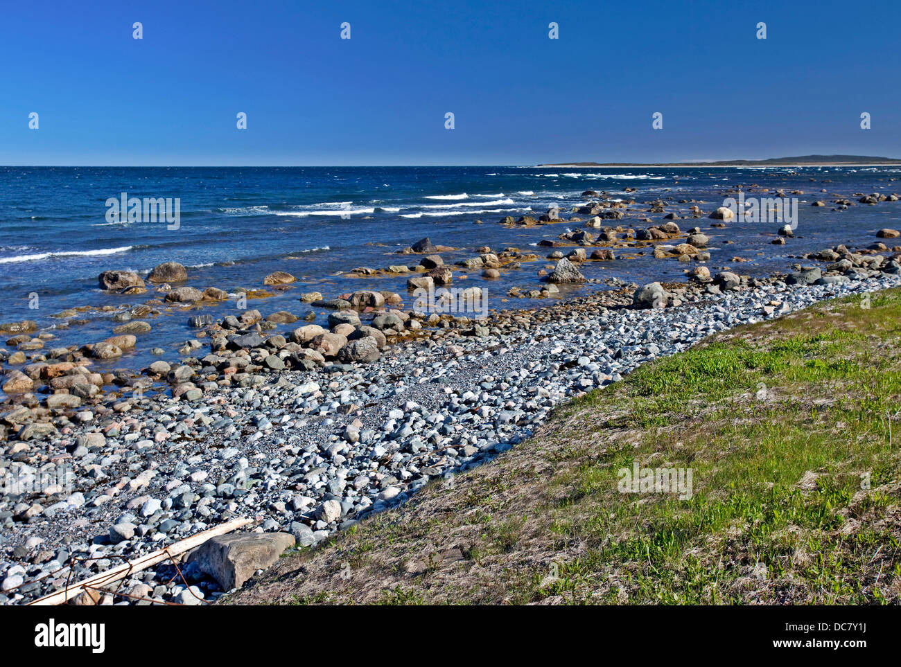 Riva del mare, il Golfo di San Lorenzo, settentrionale Parco Nazionale Gros Morne, Sito Patrimonio Mondiale dell'UNESCO, Terranova Foto Stock