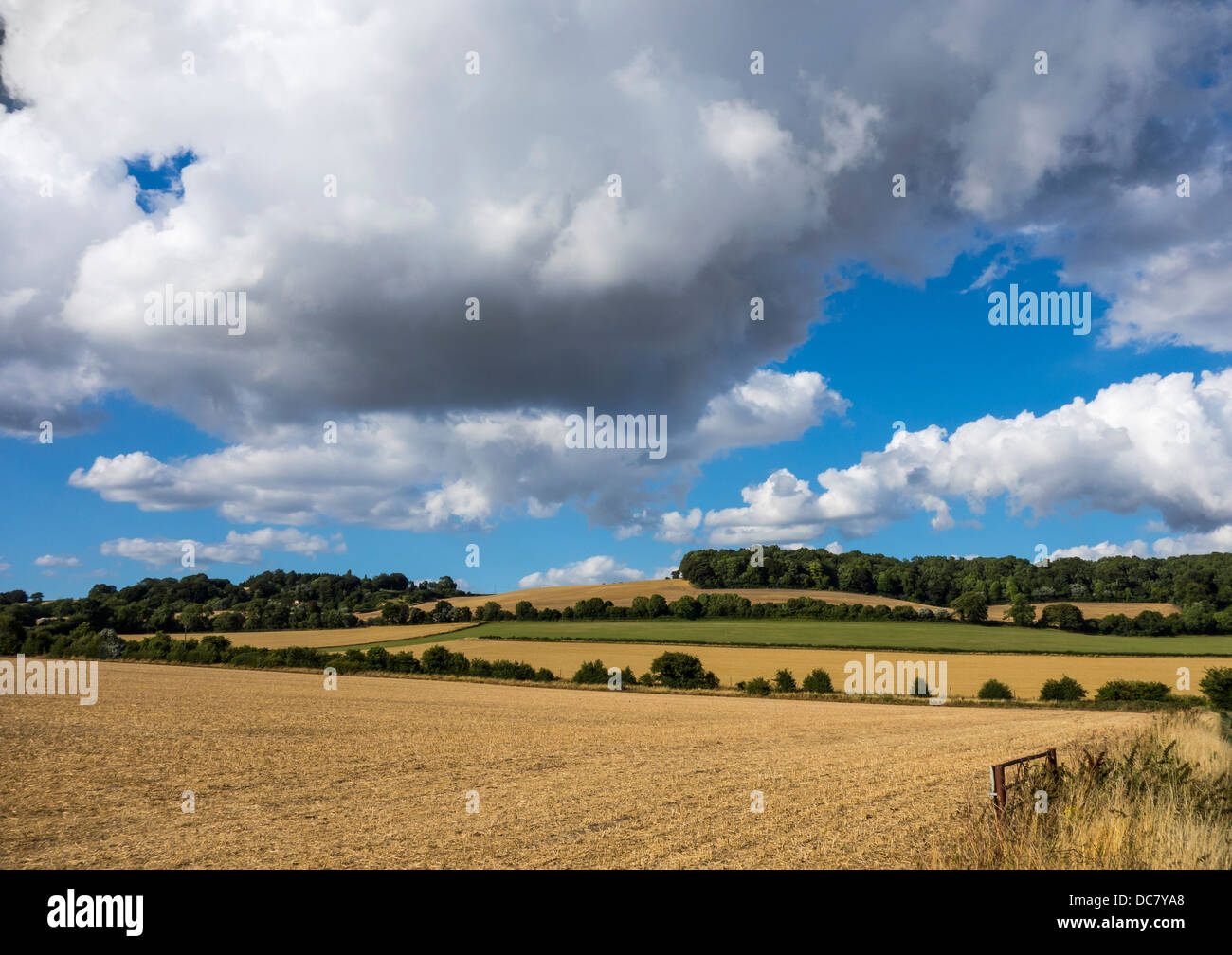La North Downs campagna di Kent at Charing Foto Stock