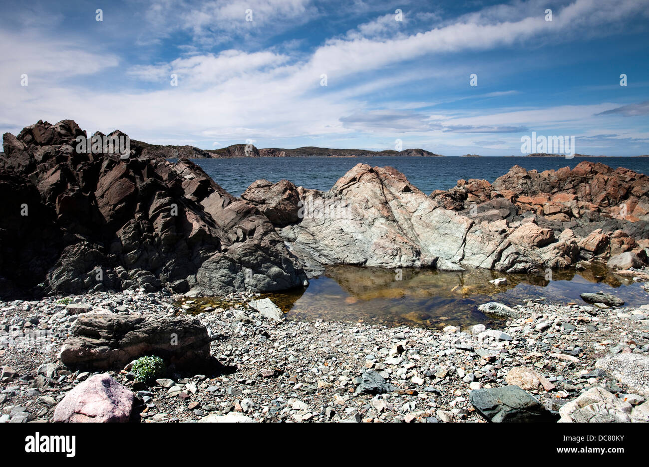 Costa, Twillingate, Terranova Foto Stock