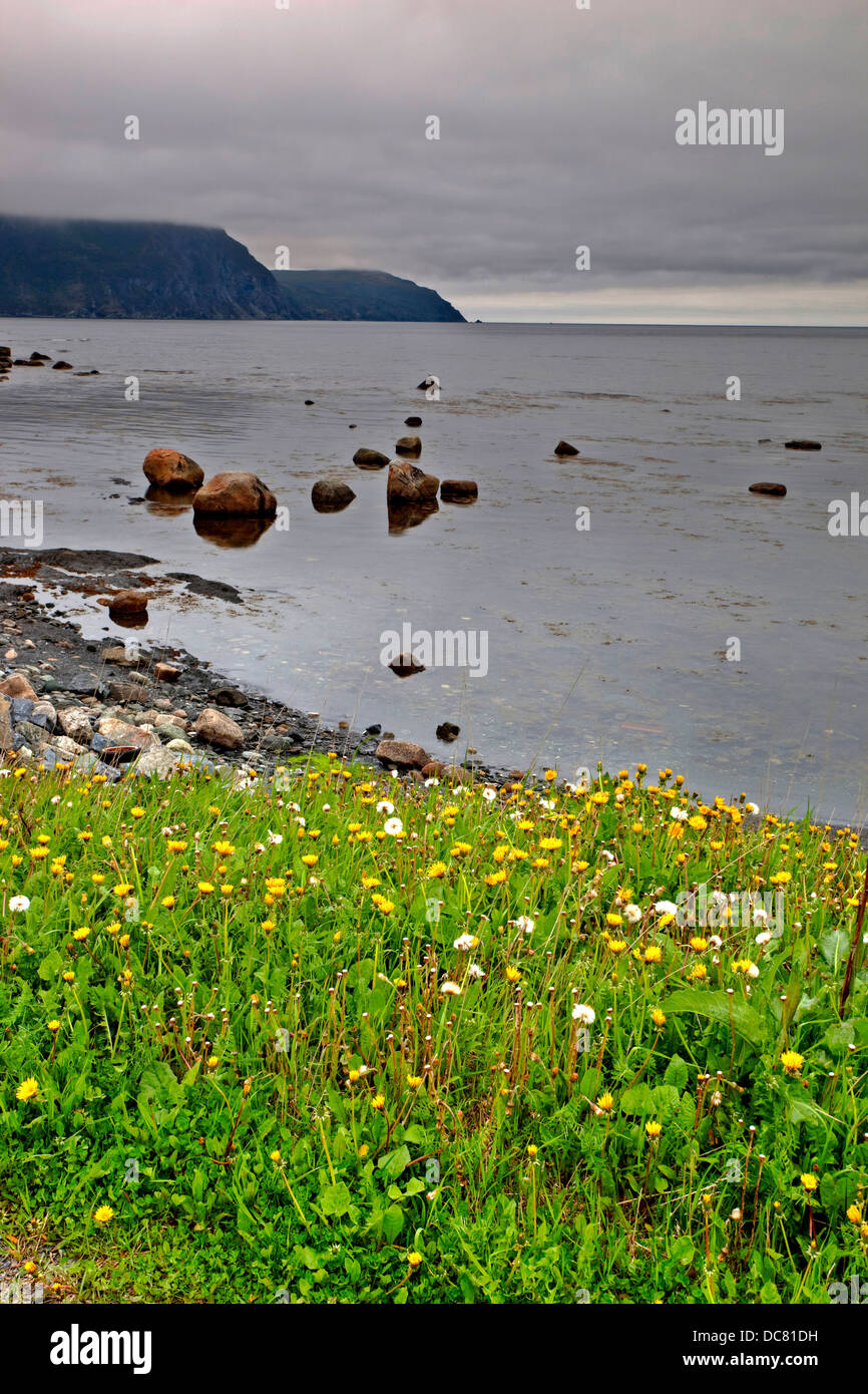 Rocky Harbour, Parco Nazionale Gros Morne, Sito Patrimonio Mondiale dell'UNESCO, Terranova Foto Stock