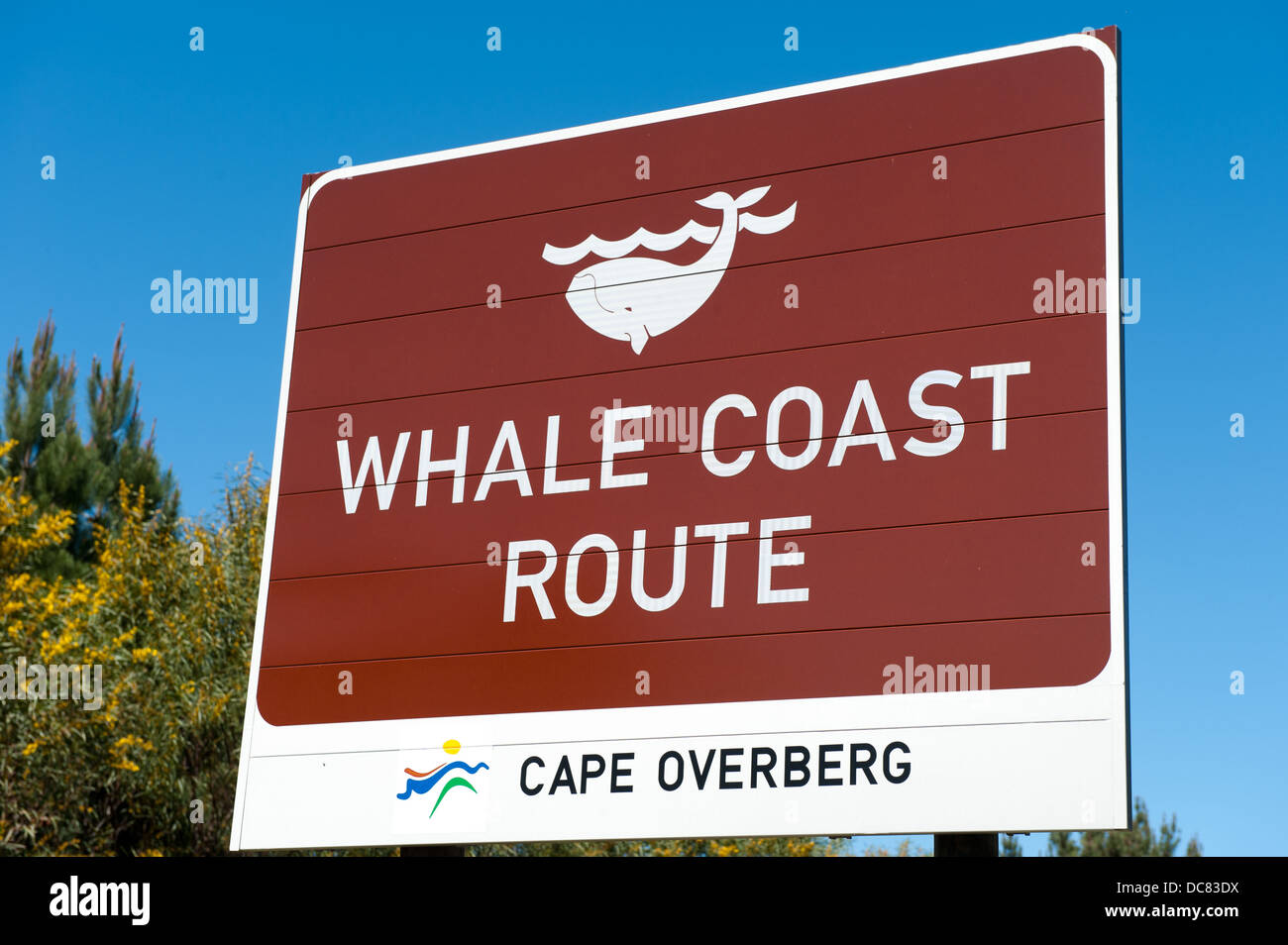 Hermanus sul Whale Coast Route, Western Cape, Sud Africa Foto Stock