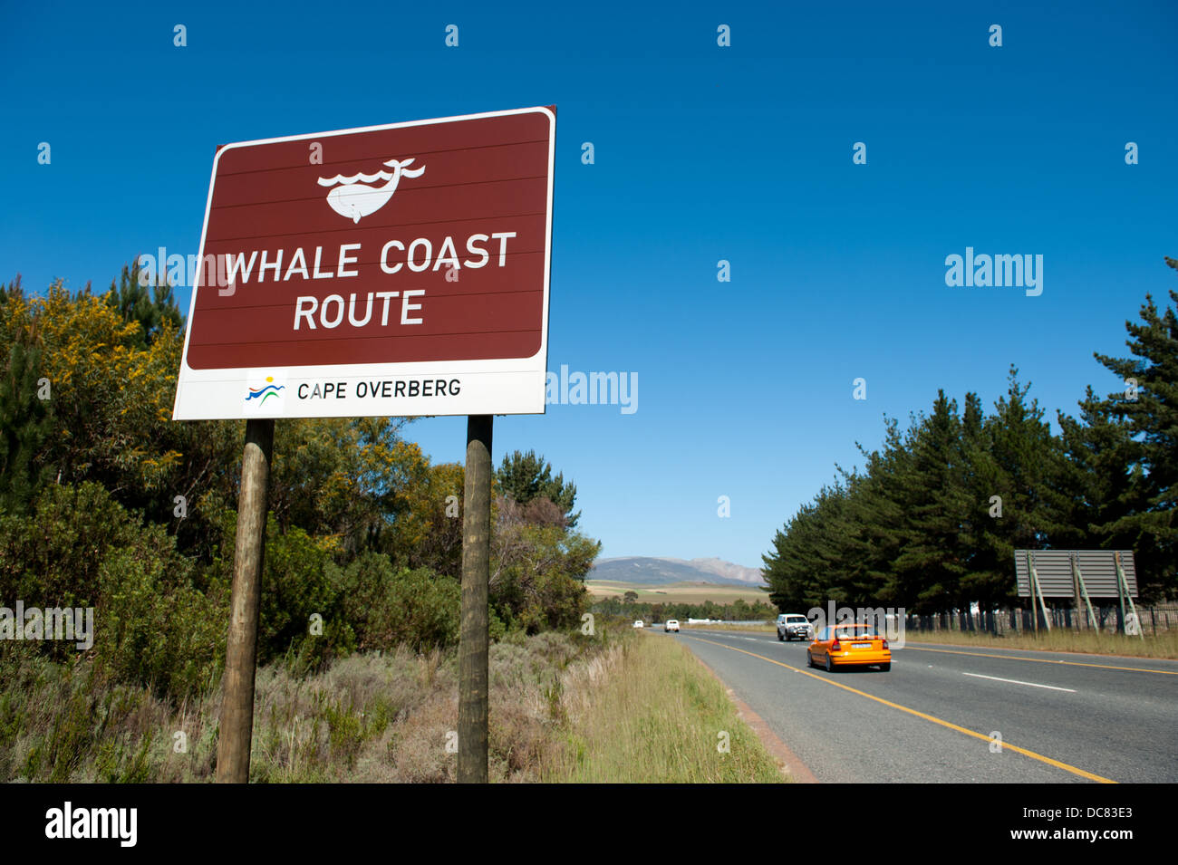 Hermanus sul Whale Coast Route, Western Cape, Sud Africa Foto Stock