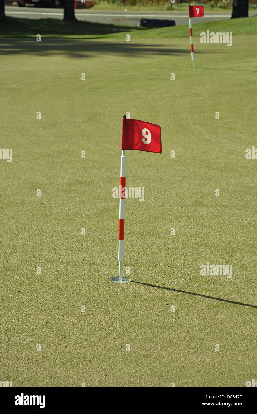 Campo da golf - foro nove con bandiera numerati e il pin close up Foto Stock