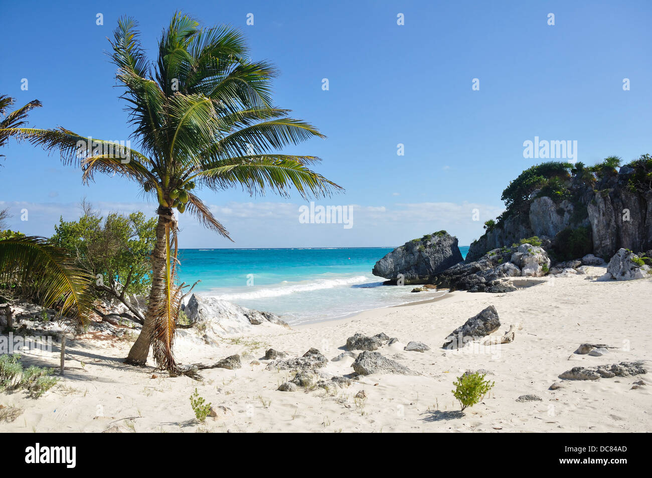 Messico - Spiaggia con Palm Tree sulla Riviera Maya, Quintana Roo, la penisola dello Yucatan, Messico Foto Stock