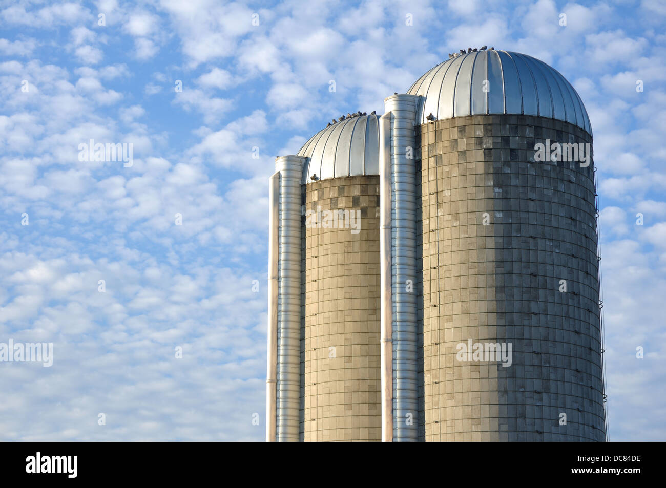 Silos per il grano due Foto Stock