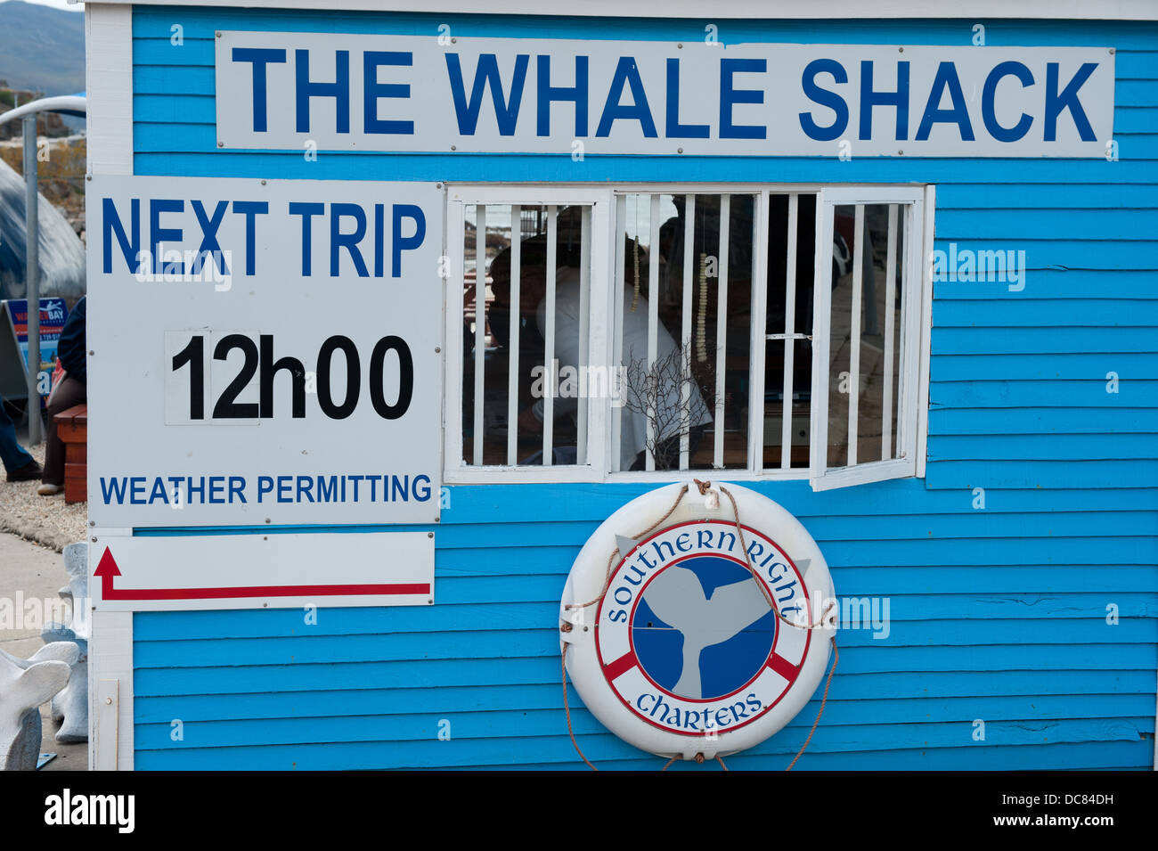 Barca-basato whale watching azienda la balena Shack, Hermanus, Western Cape, Sud Africa Foto Stock