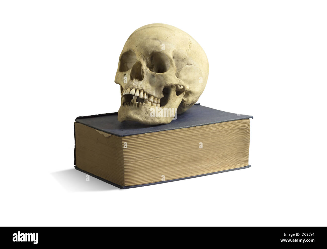 Un vecchio cranio sulla parte superiore di un vecchio libro Foto Stock