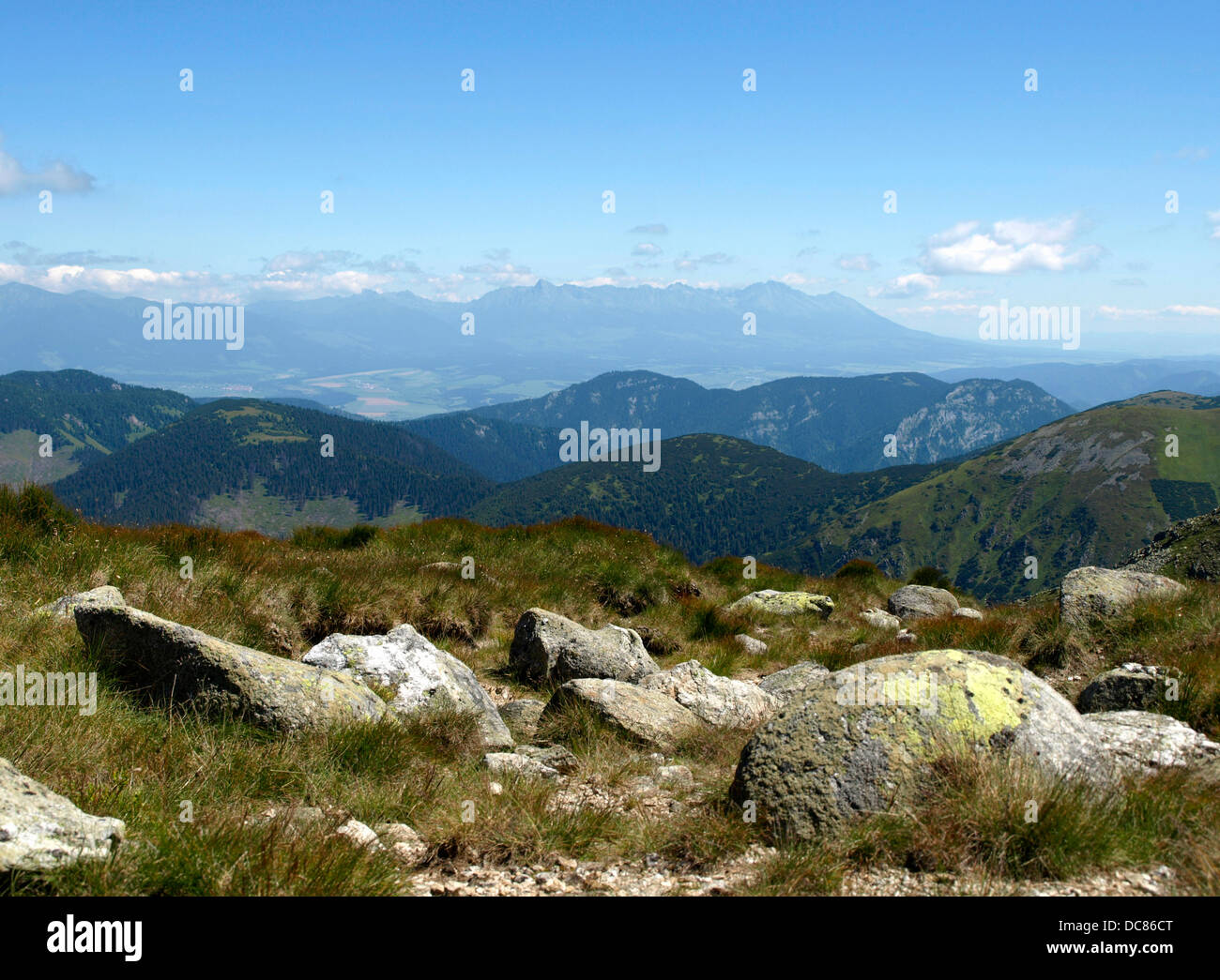 Vista dal basso di Tatra Alti Tatra in Slovacchia Montagna estate escursionismo alpino prato stadio Foto Stock