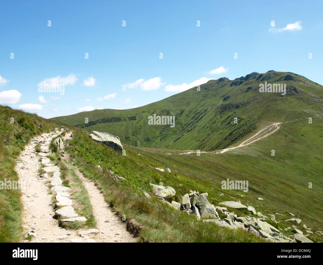 Via sassosa nei Bassi Tatra Slovacchia Montagna estate escursionismo Foto Stock