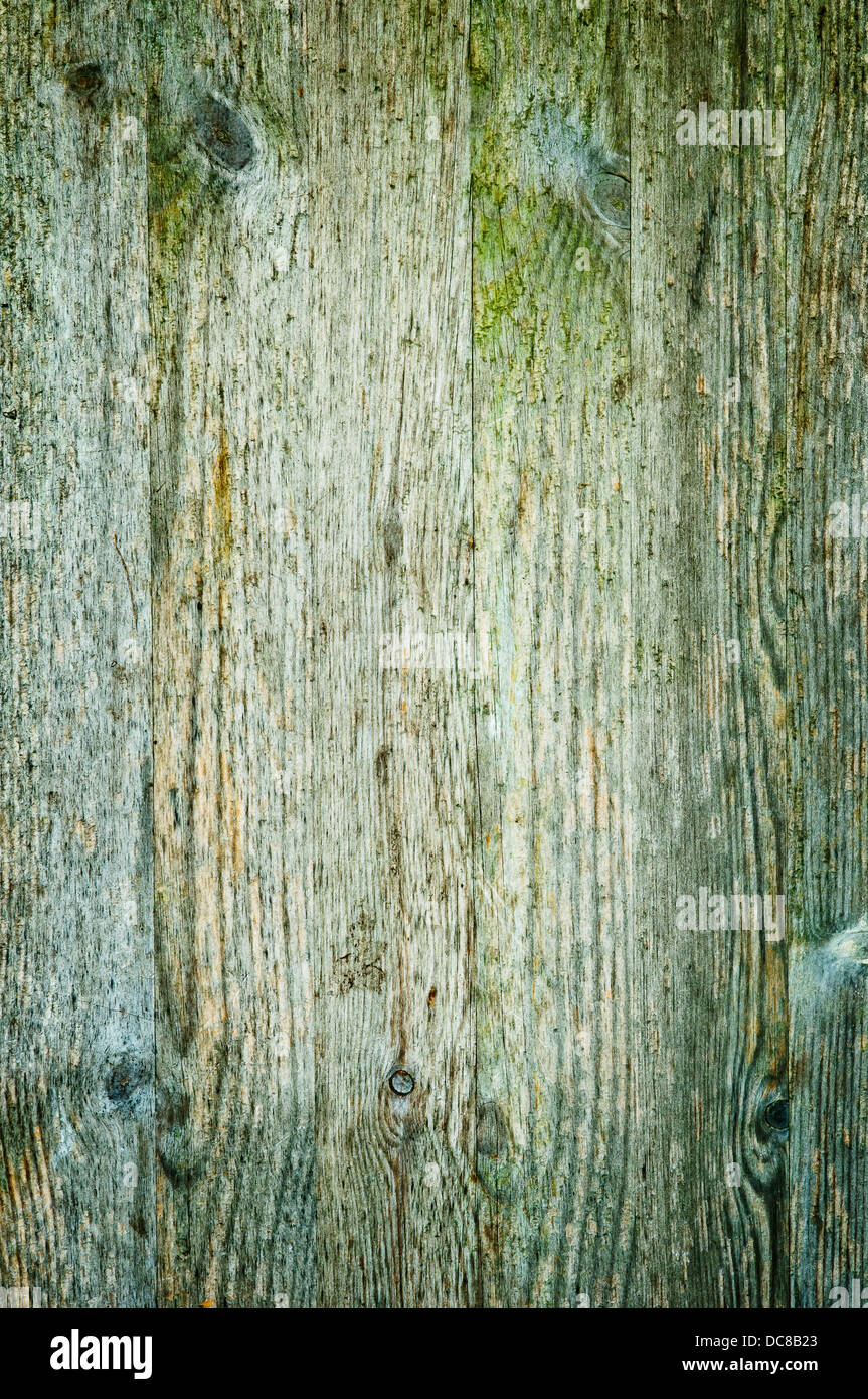 Texture di legno, con weathered look, antico e verde blu Foto Stock