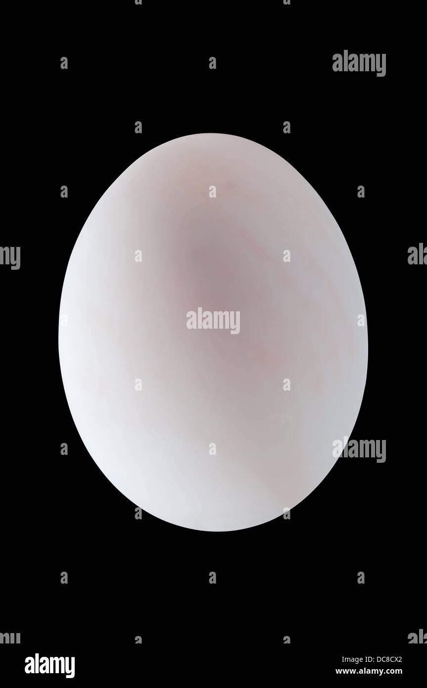 Bianco uova di anatra con percorso di clipping e sfondo nero Foto Stock