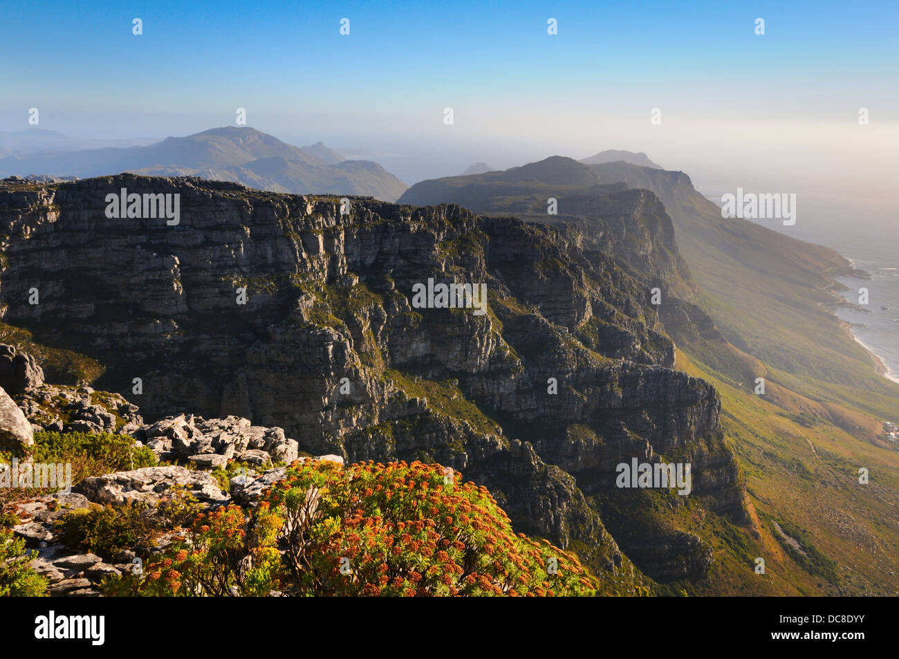 Vista dalla montagna alta sulla costa dell'oceano con piante sulla parte anteriore Foto Stock