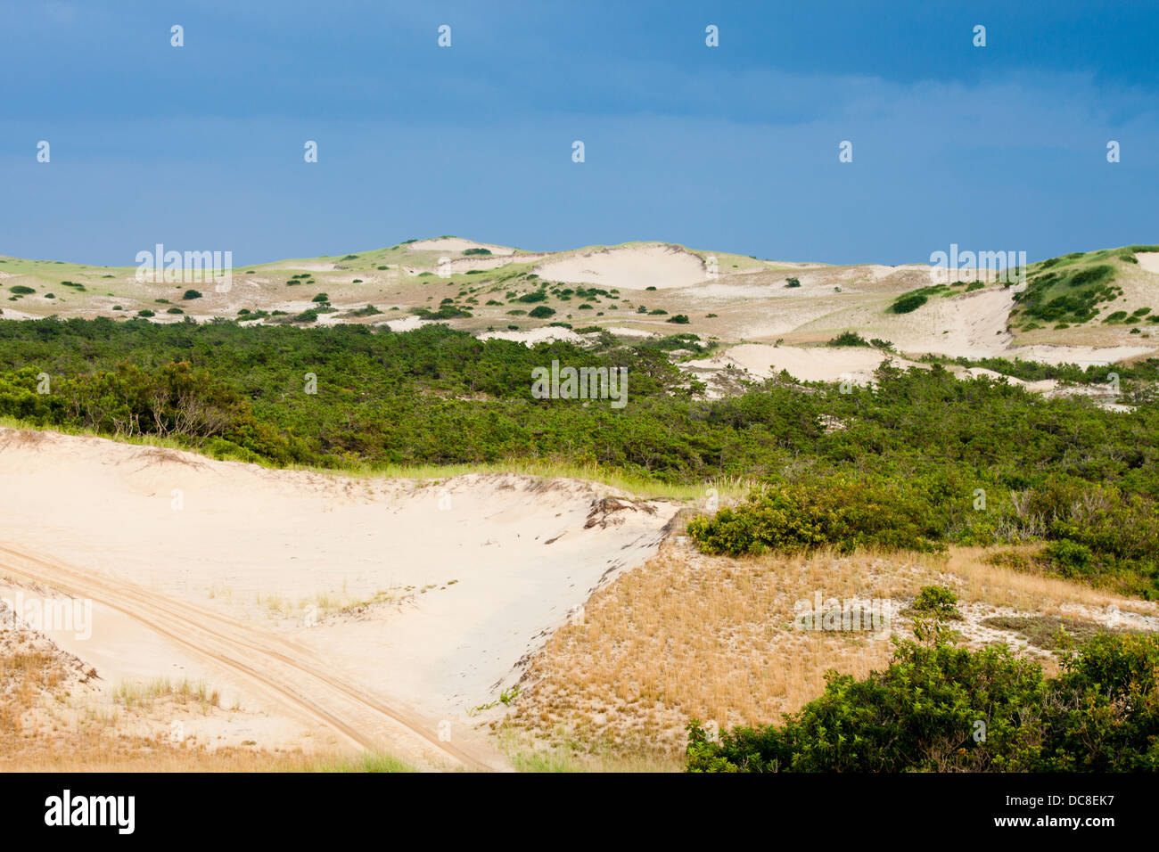 Dune fuori a Provincetown, Massachusetts Foto Stock