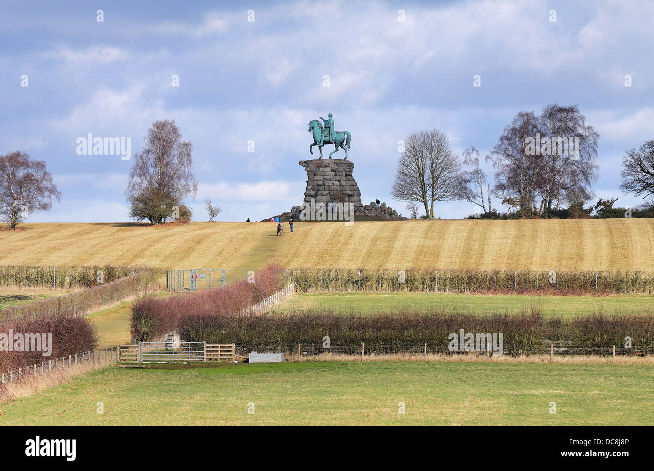 Il rame statua equestre di George III su Snow Hill in Windsor Great Park Foto Stock