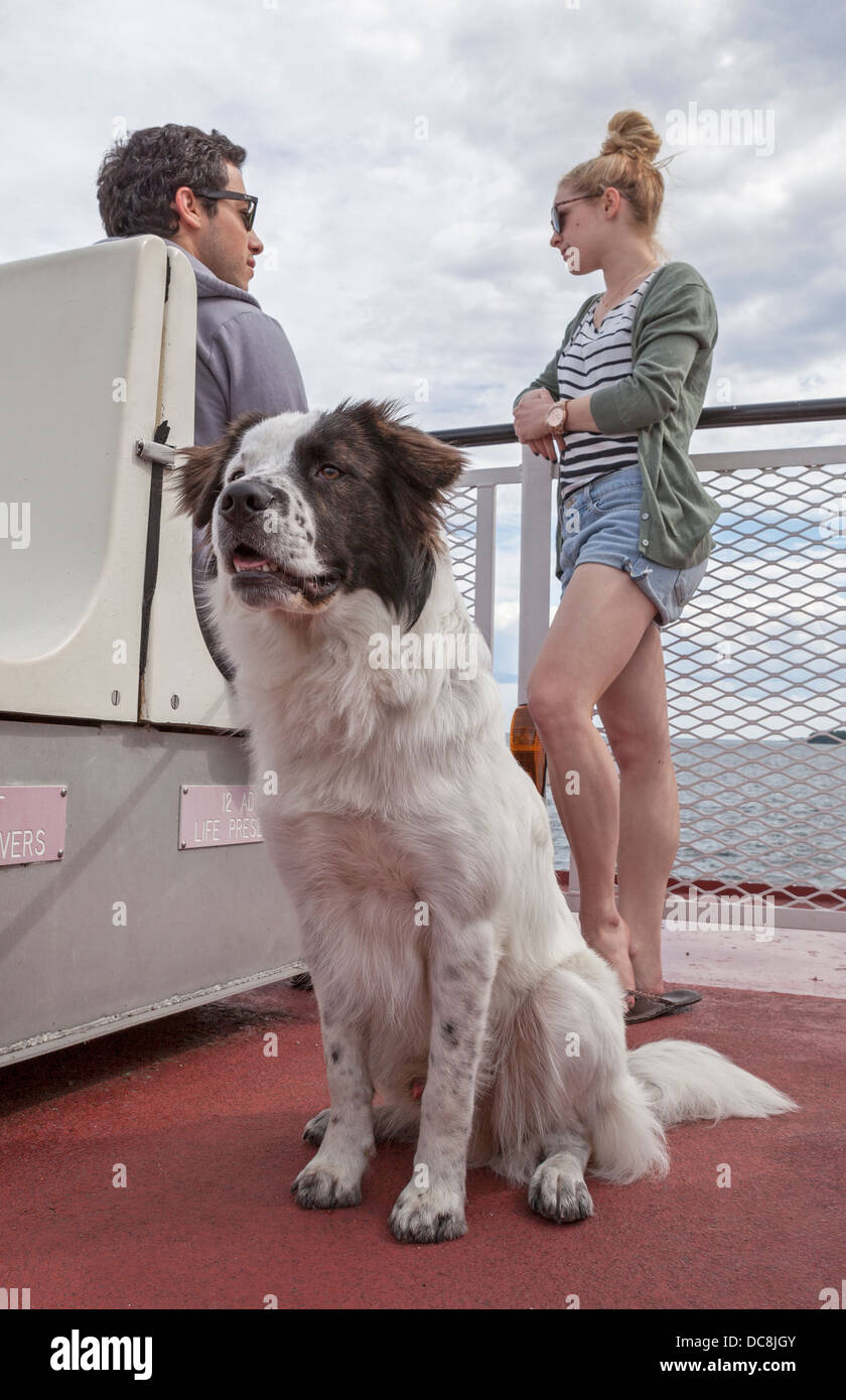Un ragazzo e ragazza e il loro cane un giro in traghetto per l'isola di Washington, Wisconsin. Foto Stock