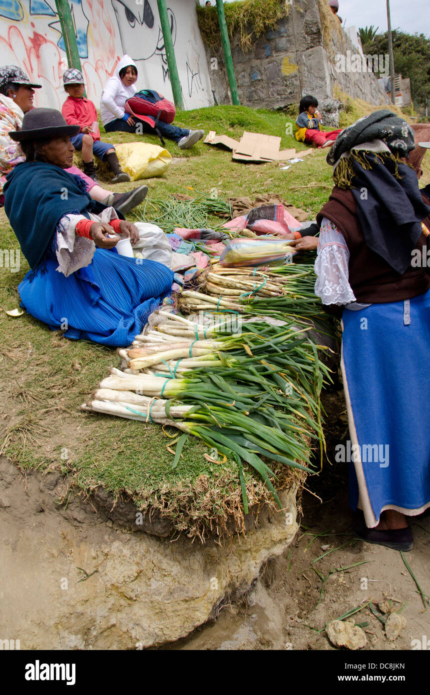 Ecuador, area di Quito. Otavalo mercato del bestiame. Otavalenos donna nel tradizionale abbigliamento highland con produrre. Foto Stock