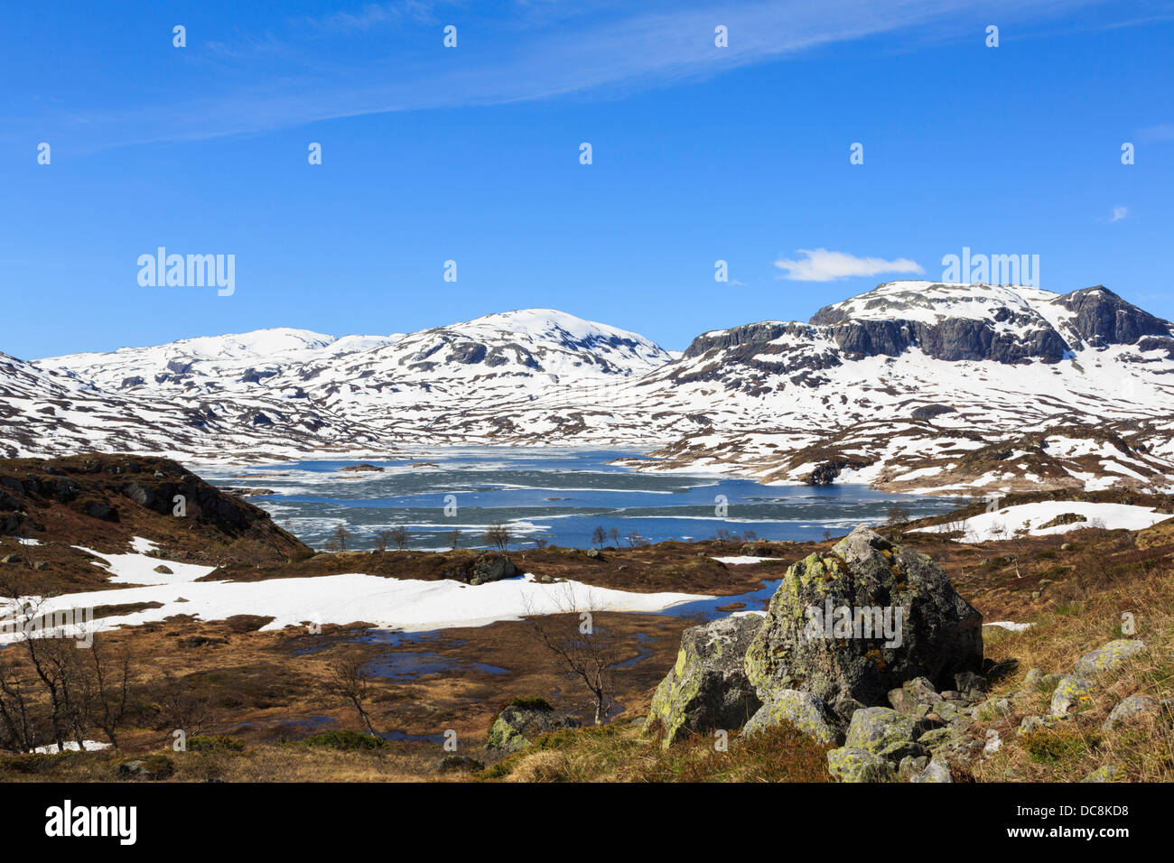 Lago Kjelavatn con neve sulle colline e alto altopiano brughiera all'inizio dell'estate. Hardanger, Telemark, Norvegia e Scandinavia Foto Stock