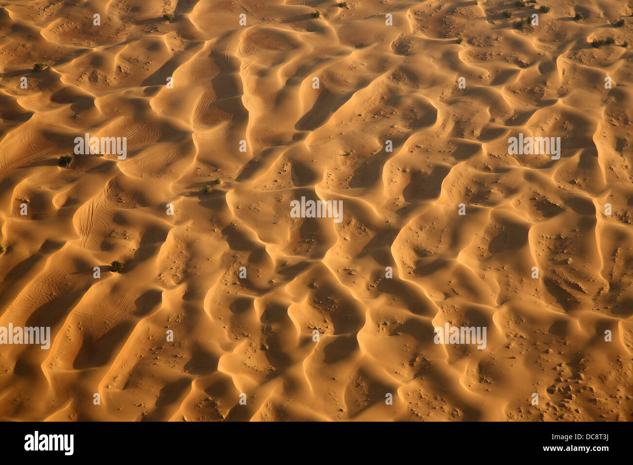 Dune di sabbia nel deserto Arabico, Dubai, Emirati Arabi Uniti Foto Stock