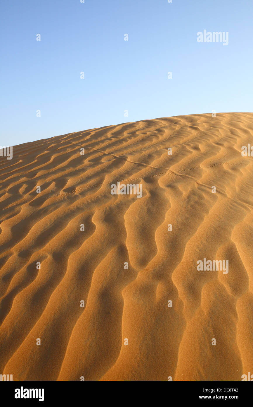 Dune di sabbia nel deserto Arabico, Dubai, United Arab EmiratesDubai, Emirati Arabi Uniti Foto Stock