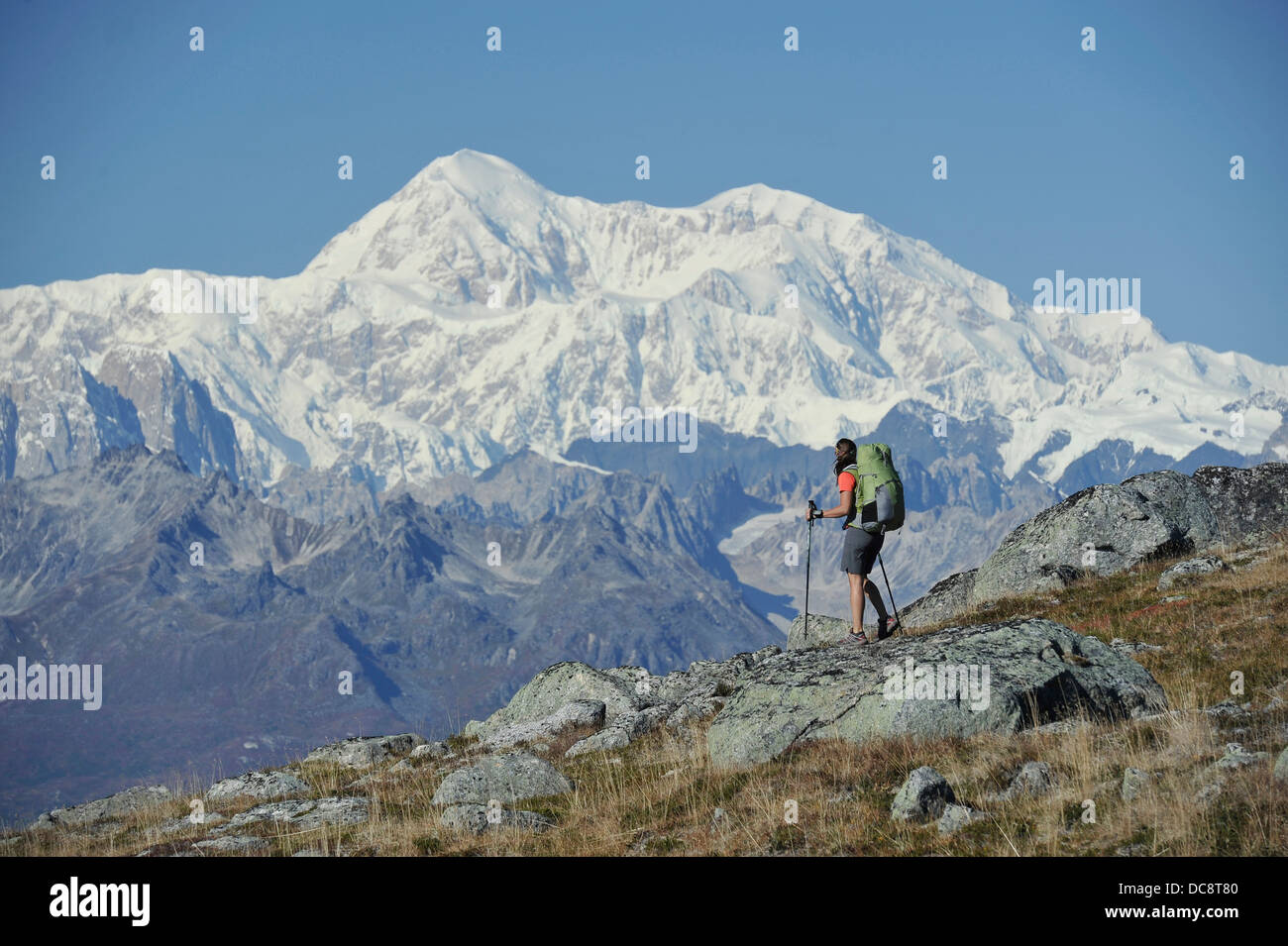 Escursioni per Backpacker Kesugi Ridge Trail nel Denali State Park, Alaska. Foto Stock