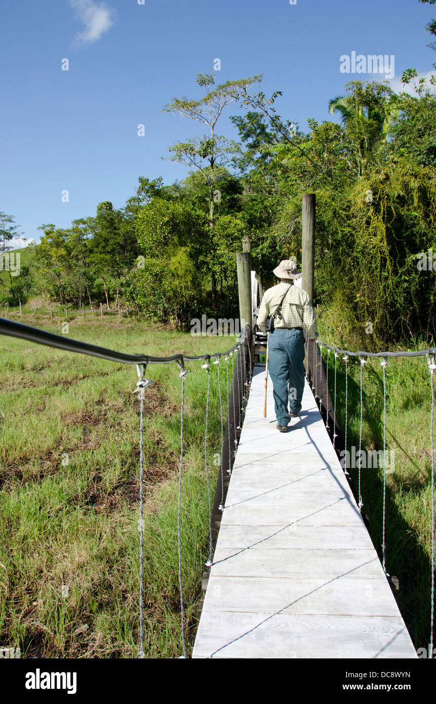 Guatemala, Rio Dulce, Hacienda Tijax Jungle Lodge. La natura e la giungla escursione sul sentiero sopraelevato. (MR). Foto Stock