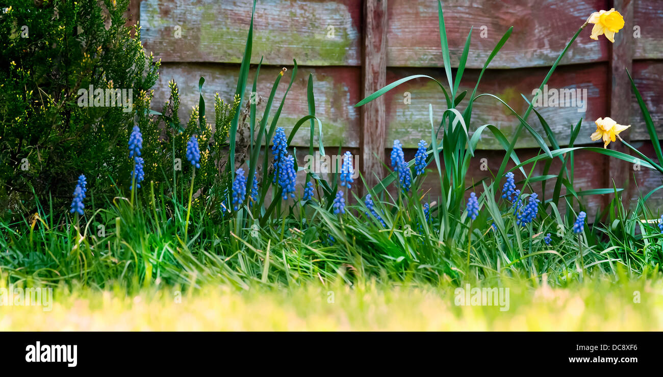 Giardino e Recinzione in primavera Foto Stock