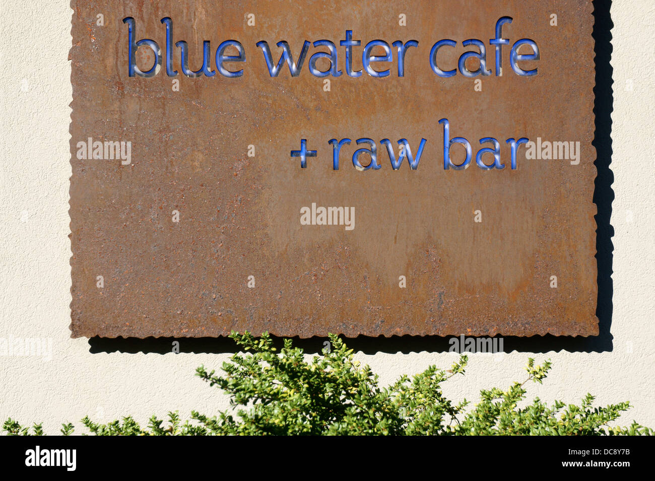 Segno al di fuori del Blue Water Cafe e il raw bar in Yaletown, Vancouver, British Columbia, Canada Foto Stock