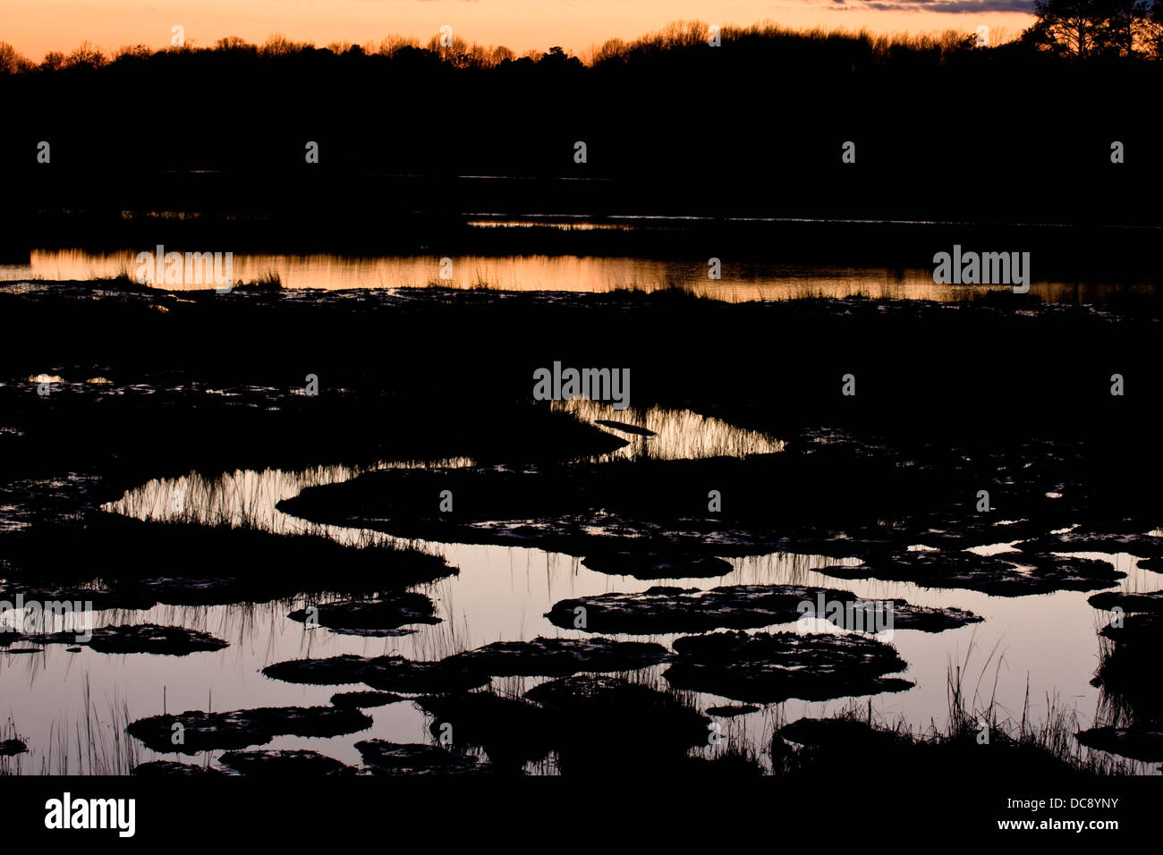 Tramonto lungo la storica Colonial Parkway palude d'acqua dolce. Foto Stock