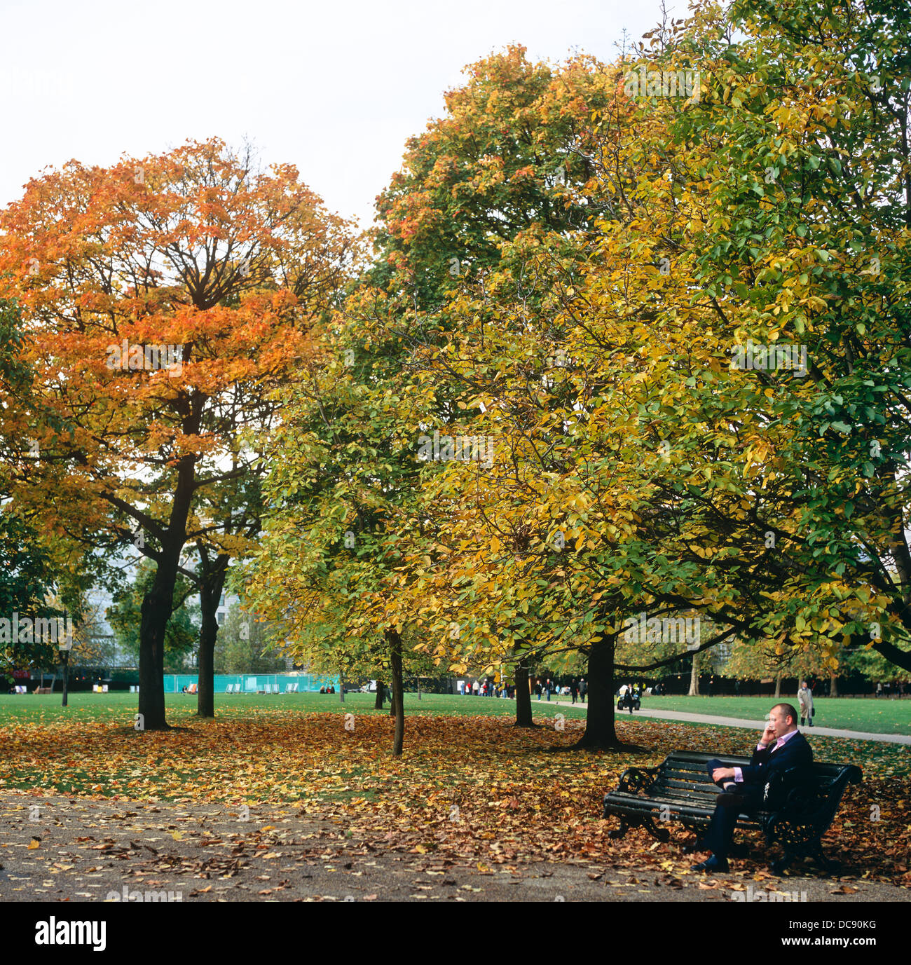 Uomo seduto in Parco Verde in autunno London REGNO UNITO Foto Stock