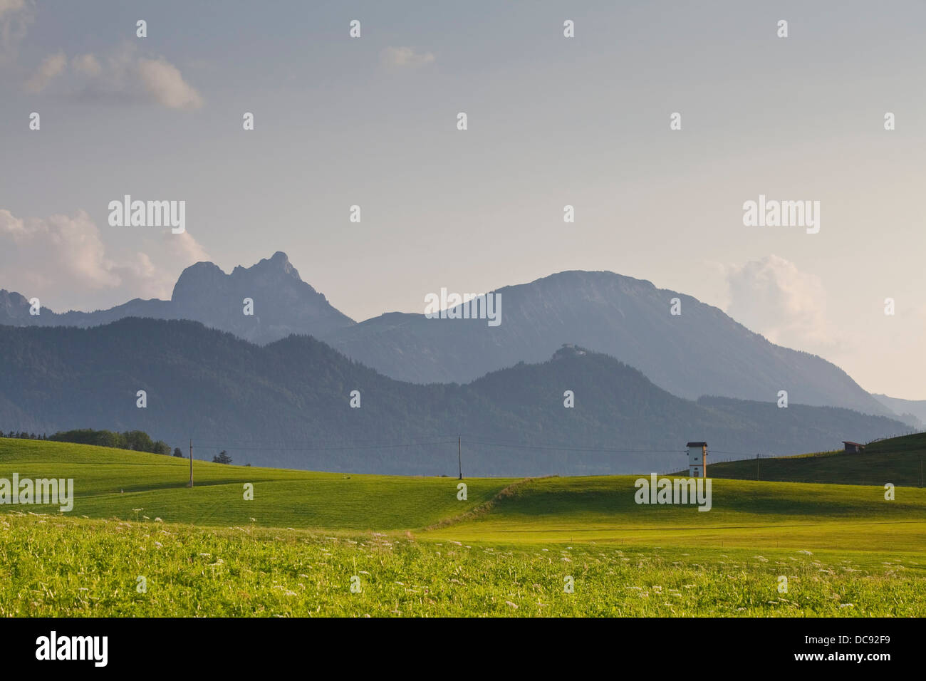 L'Europa, in Germania, in Baviera, Ostallgaeu, Hopferau, la campagna con le Alpi in background nel sole di sera Foto Stock