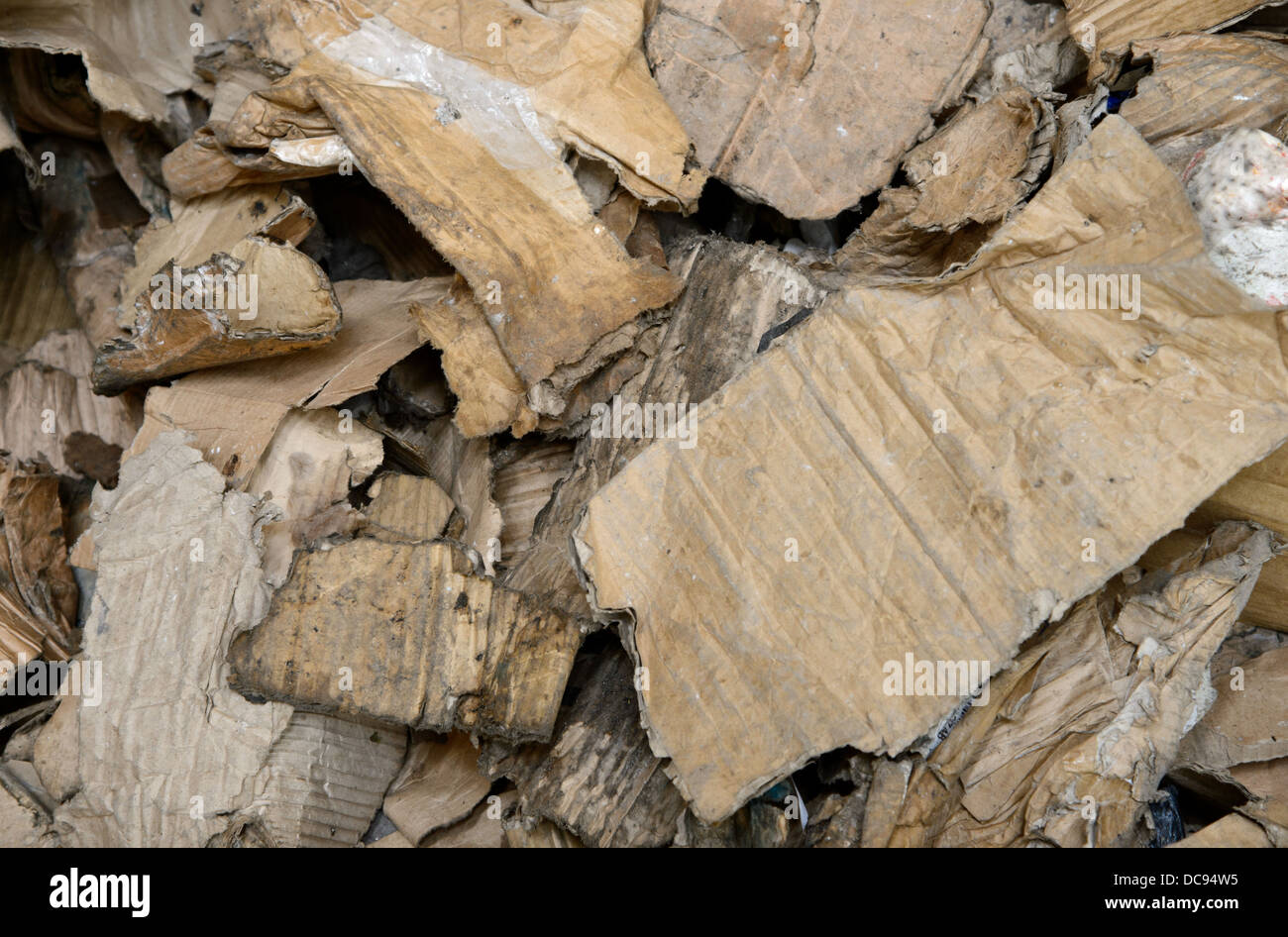 Rifiuti di carta e cartone in un impianto di riciclaggio nel West Midlands, England, Regno Unito Foto Stock