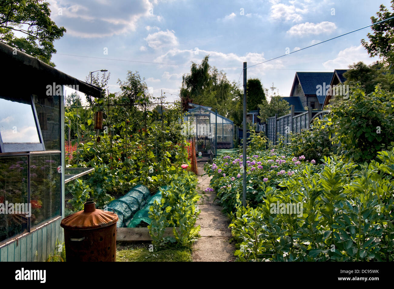 Orto al fondo del giardino locale in Bristol, Regno Unito Foto Stock