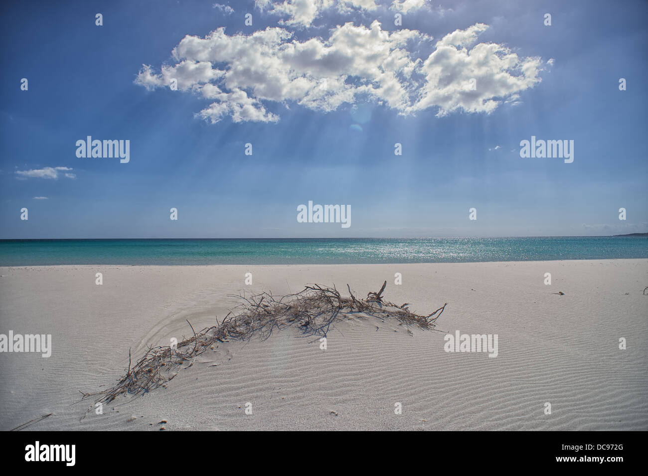 La Cinta Spiaggia Vicino A San Teodoro Sardegna Foto