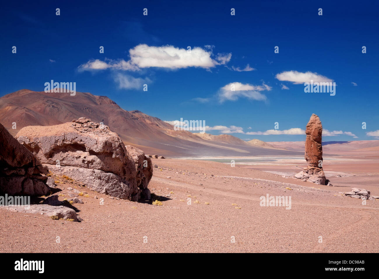 Monolito geologica vicino al Salar Aguas Calientes, deserto di Atacama, Cile Foto Stock