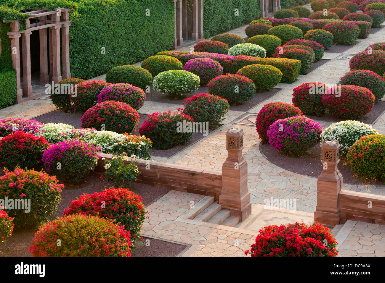 Giardini con coloratissimi cespugli di bouganville, Palace Hotel Umaid Bhawan Palace Foto Stock