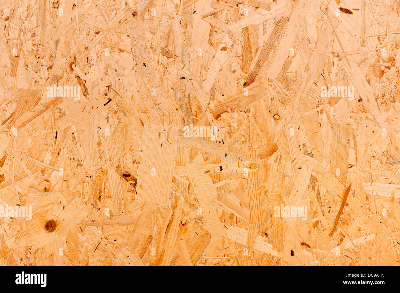 Oriented strand board o scheda OSB, tavola di legno realizzato da ruvida compressa da trucioli di legno Foto Stock