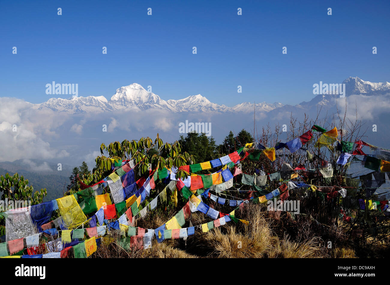 Annapurna Mountain Range visualizzazione e pregando le bandiere con il cielo blu, il Nepal. Foto Stock