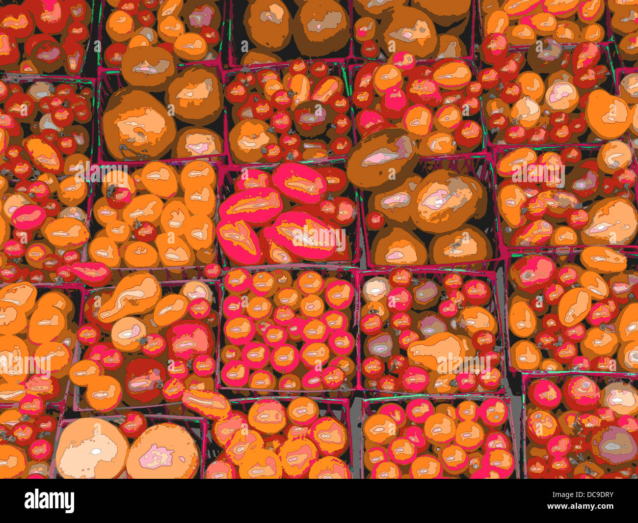 Photoshop versione di un quadro organico di pomodori in un mercato agricolo Union Square mercato agricolo il New York City Foto Stock