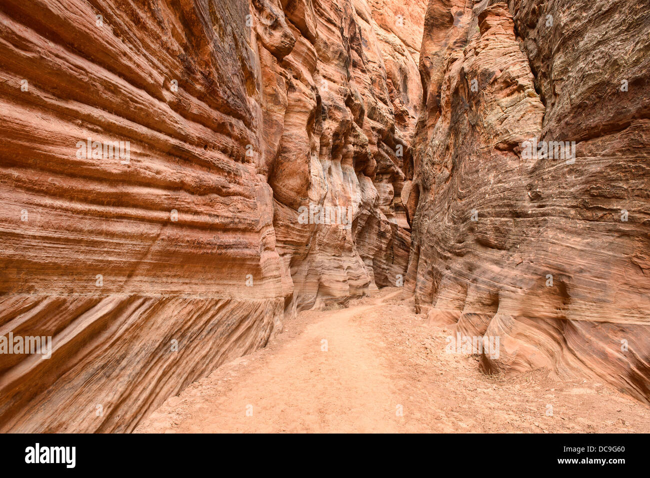 All'interno di daino slot Gulch canyon Kanab, Utah Foto Stock