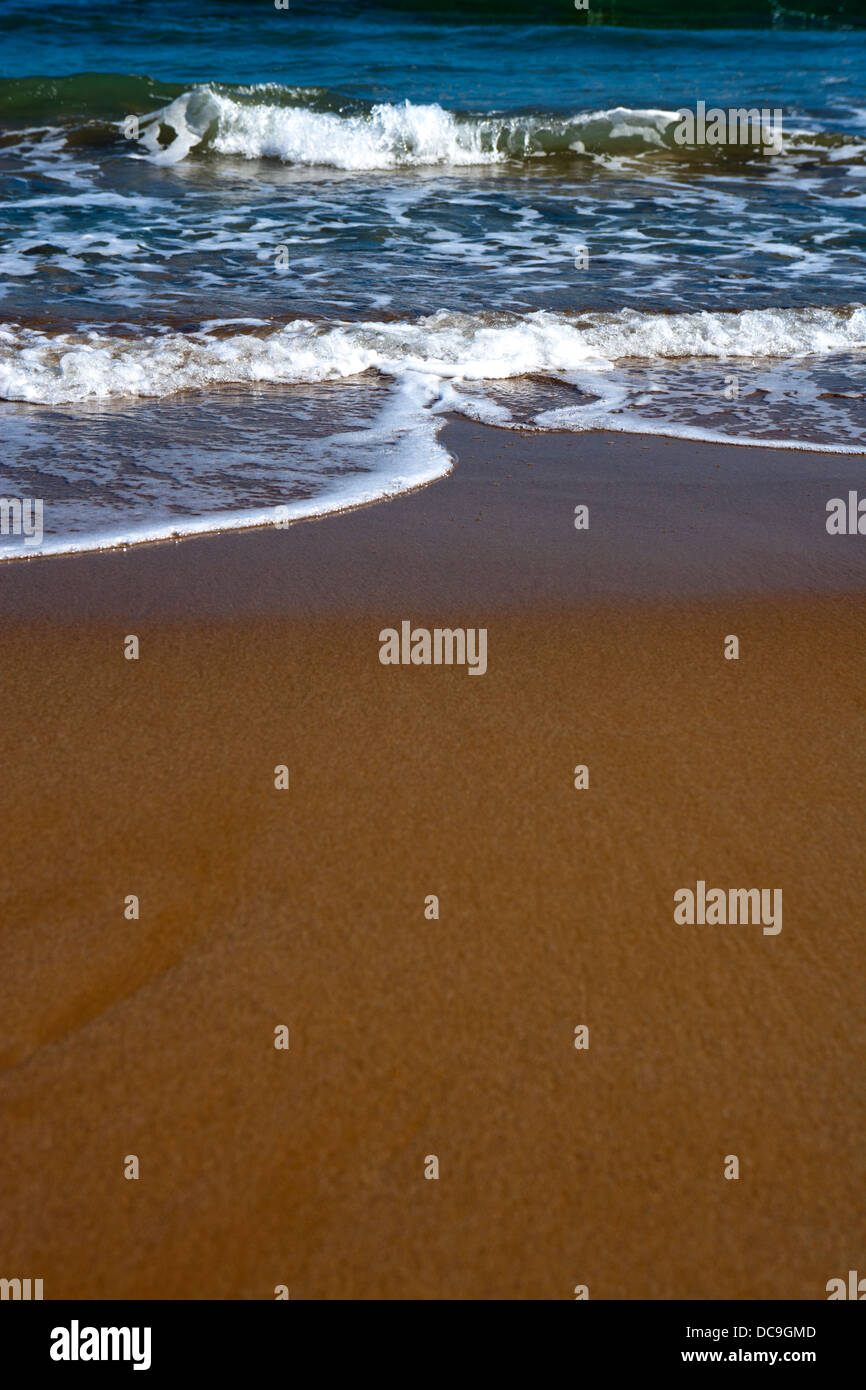 Poco profonda dell'immagine messa a fuoco delle onde che lambiscono su una spiaggia Foto Stock