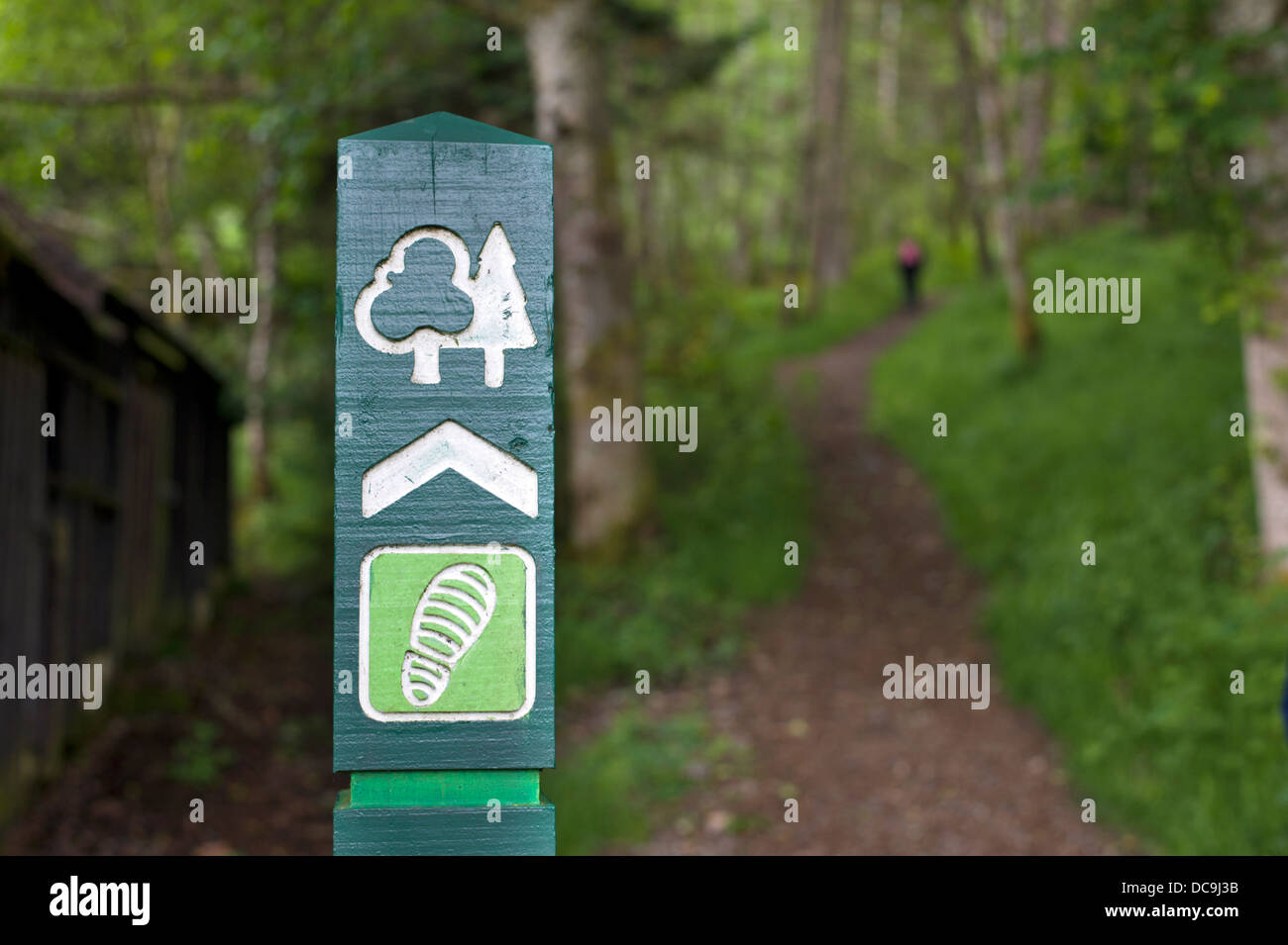 Commissione forestale waymarker sul Inverfarigaig sentiero forestale vicino a Inverness Scozia Scotland Foto Stock