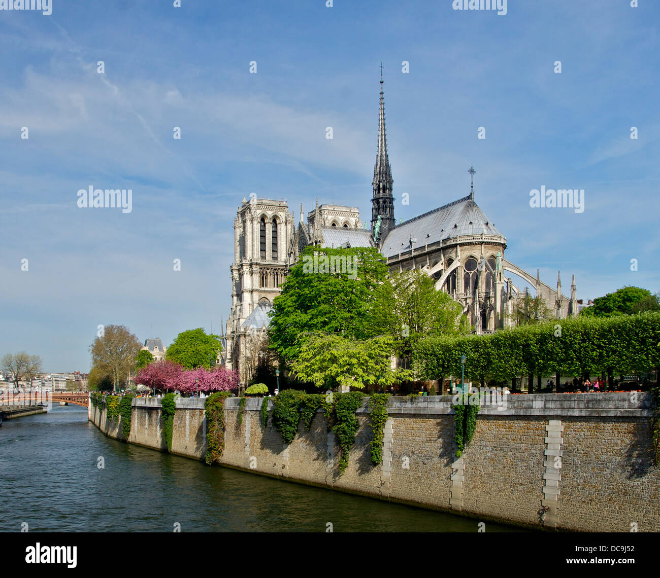 Notre Dame de Paris, da sud-ovest (Pont de l'Archevêché). Senna. Foto Stock
