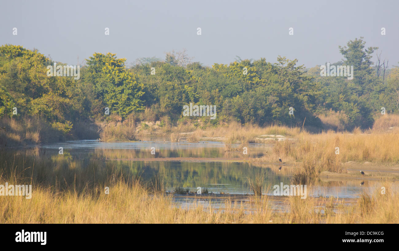 Vista di paludi e foreste in Bardia National Park, il Nepal Foto Stock