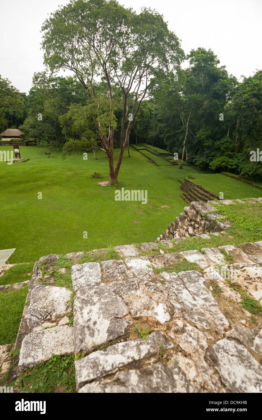 Touring i motivi di Palenque rovine Maya in Chiapas, Messico. Foto Stock