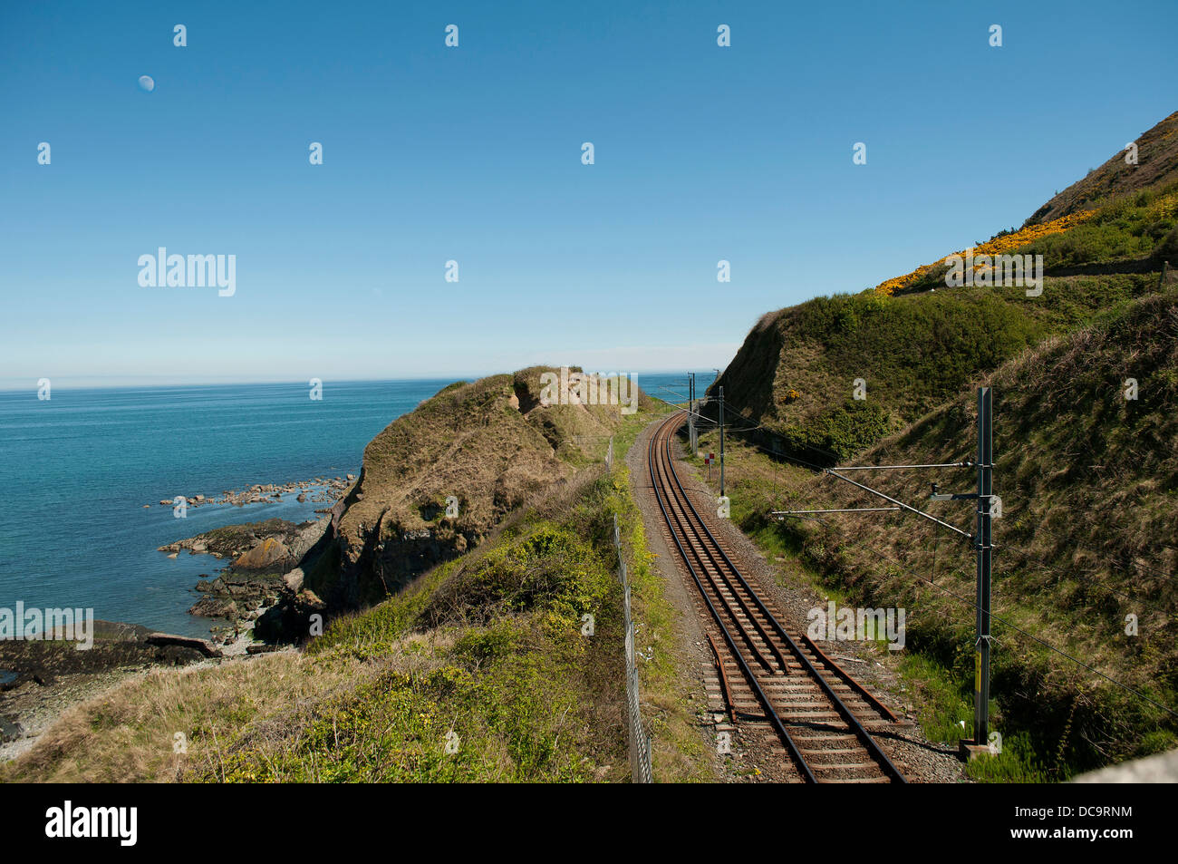 Cliffwalking tra Bray e Graystone, Irlanda Foto Stock