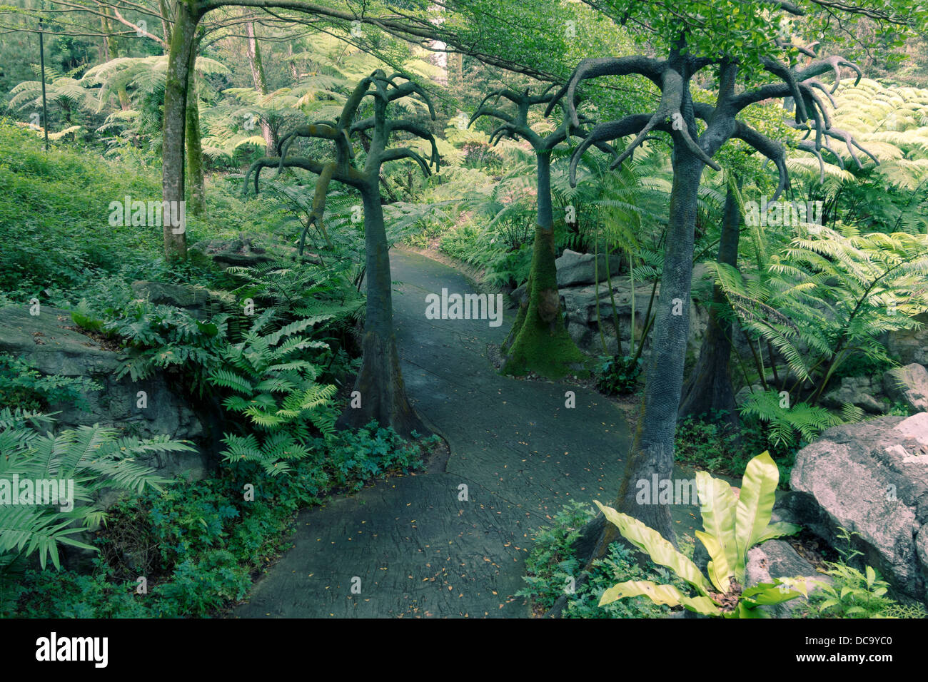 Sentiero panoramico tra gli alberi artificiali in evoluzione del giardino. Si trova all'interno del famoso i Giardini Botanici di Singapore. Foto Stock