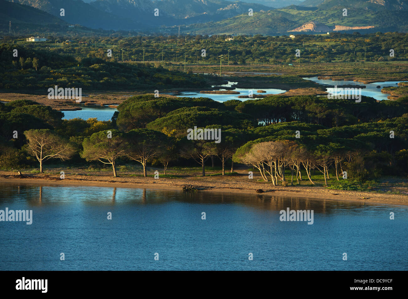 Avvicinando la prot di Olbia con il traghetto, vista della spiaggia con alberi Foto Stock