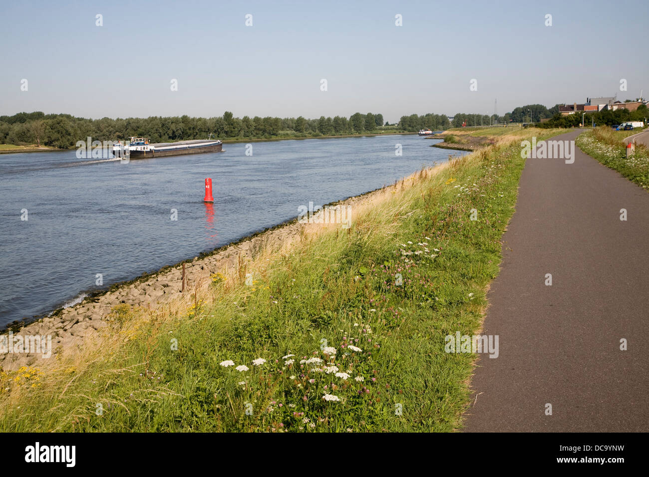 Percorso lungo il rilievo della difesa flood dyke accanto al fiume Nieuwe Maas Alblasserdam Paesi Bassi Foto Stock